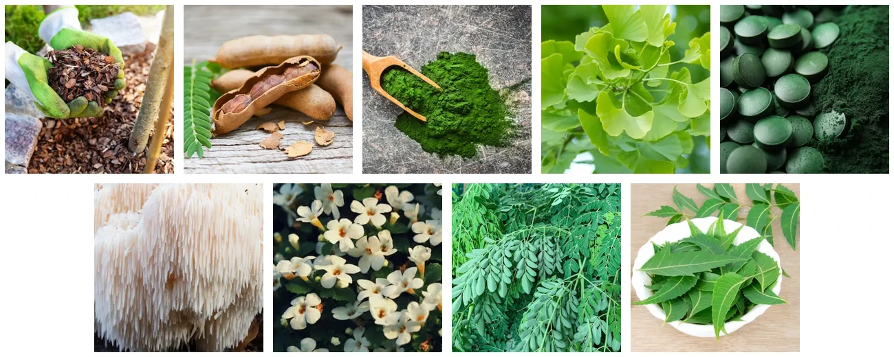 JointVive ingredients